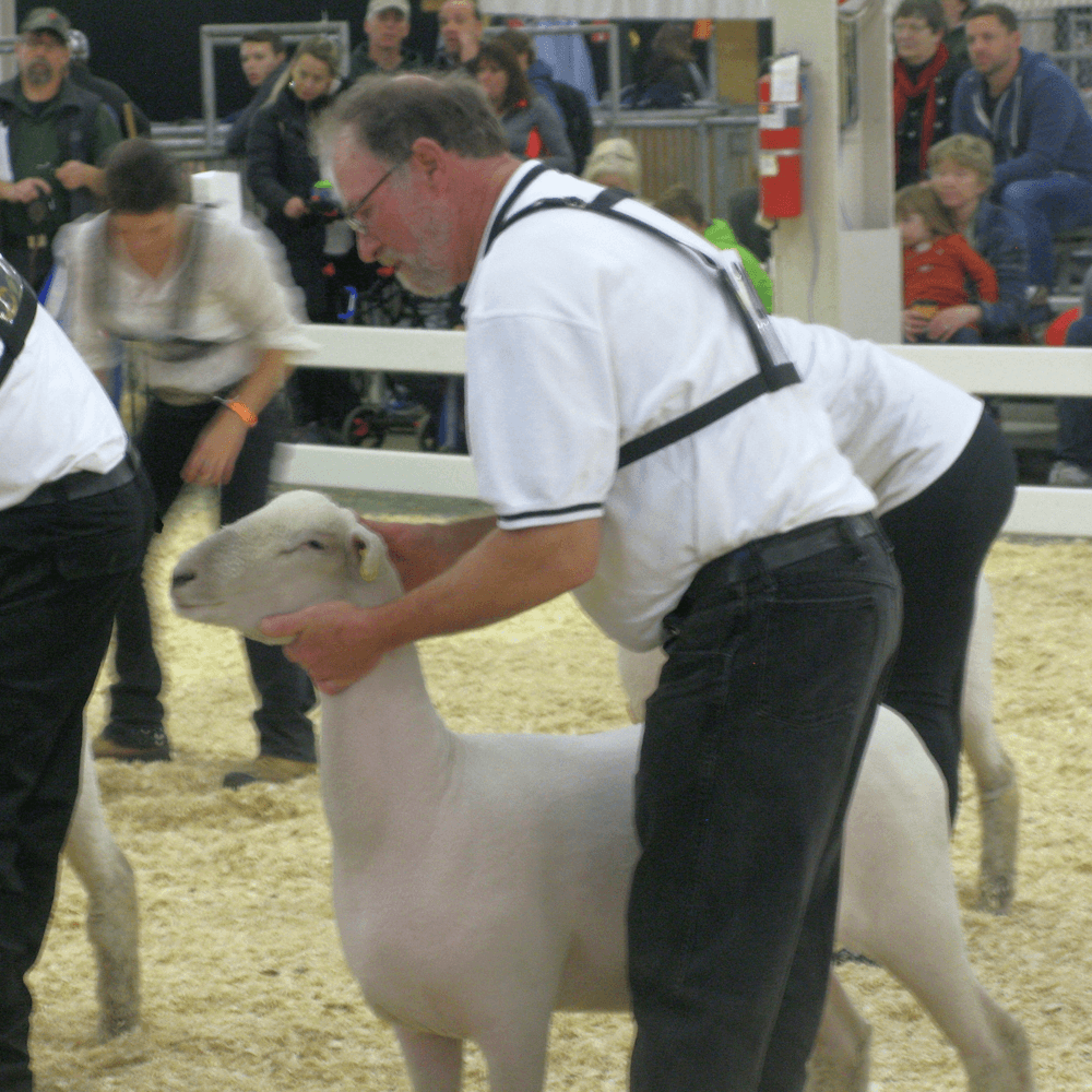 Foto's: Robert Prins