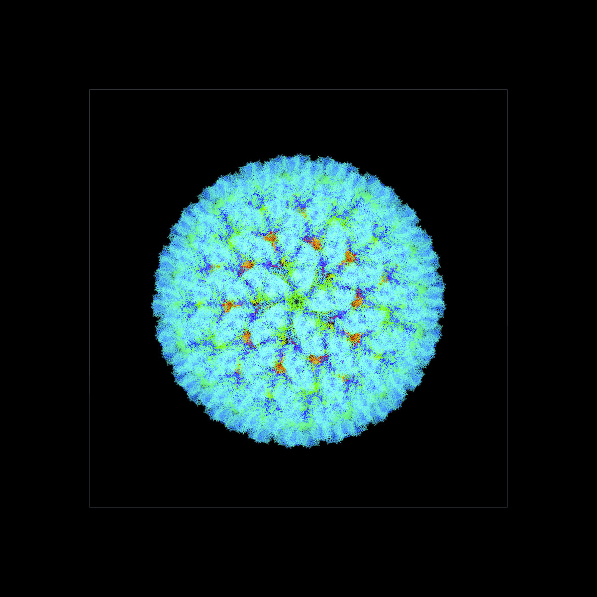 Franse blauwtong  stabiliseert