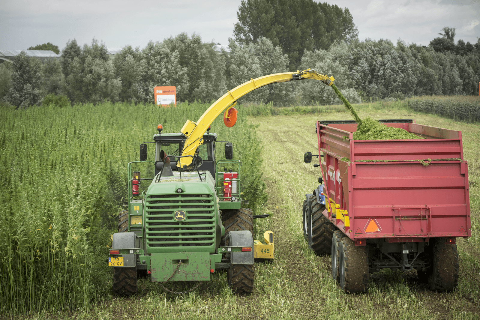 Foto: Koos Groenewold