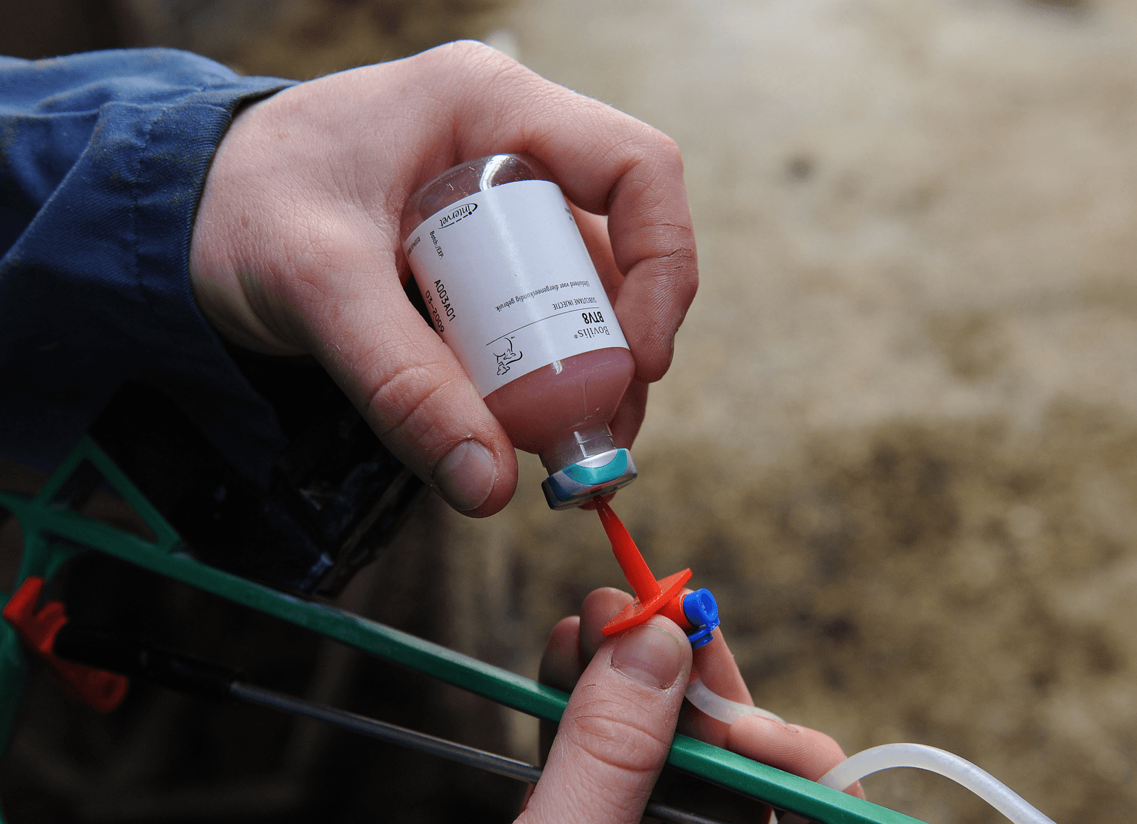 Nieuw blauwtongvaccin ontwikkeld