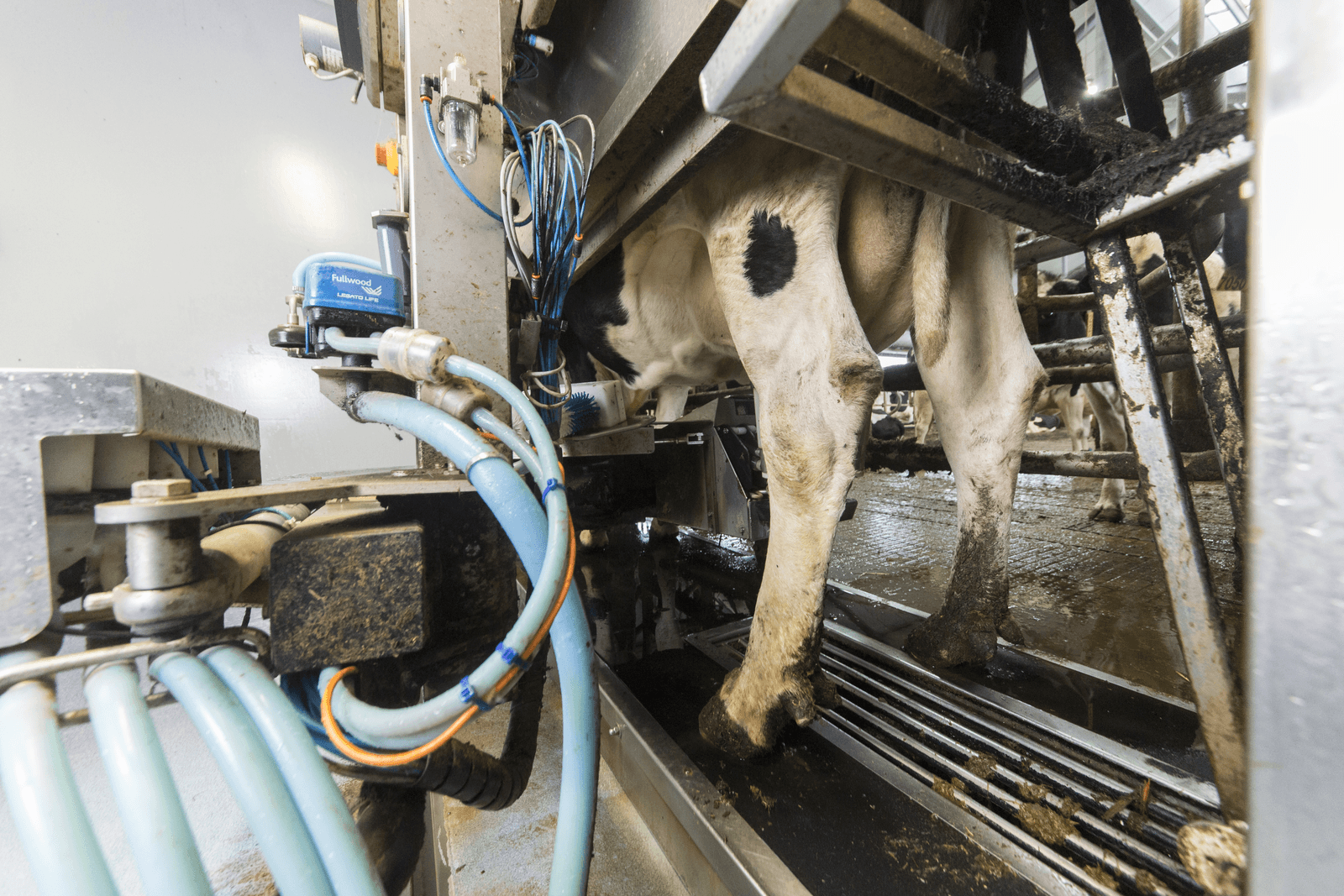 Foto: Koos Groenewold