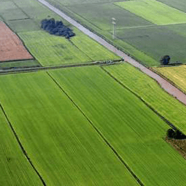 LEI sluit tijdelijke grondprijsdaling niet uit