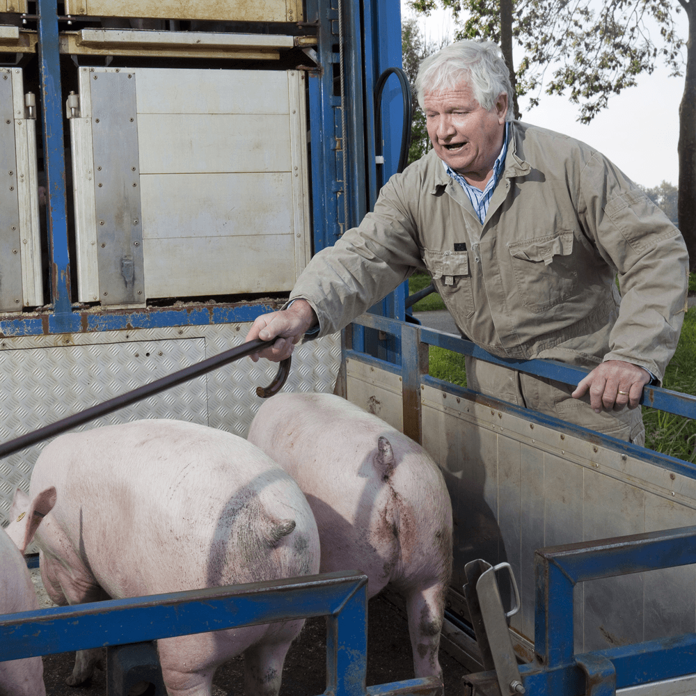 Varkenshandelaar Jan Vernooij uit Beusichem. Foto: Jan Willem Schouten