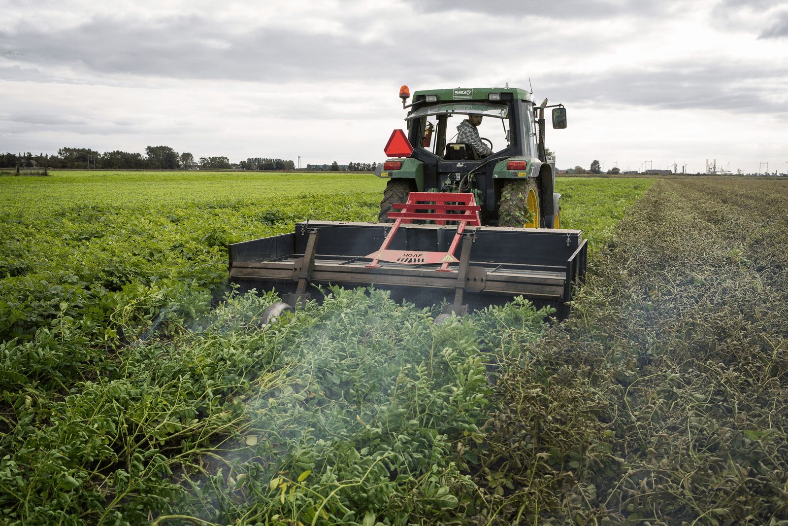 Een biologische aardappelteler brandt aardappelloof weg. Foto: Peter Roek