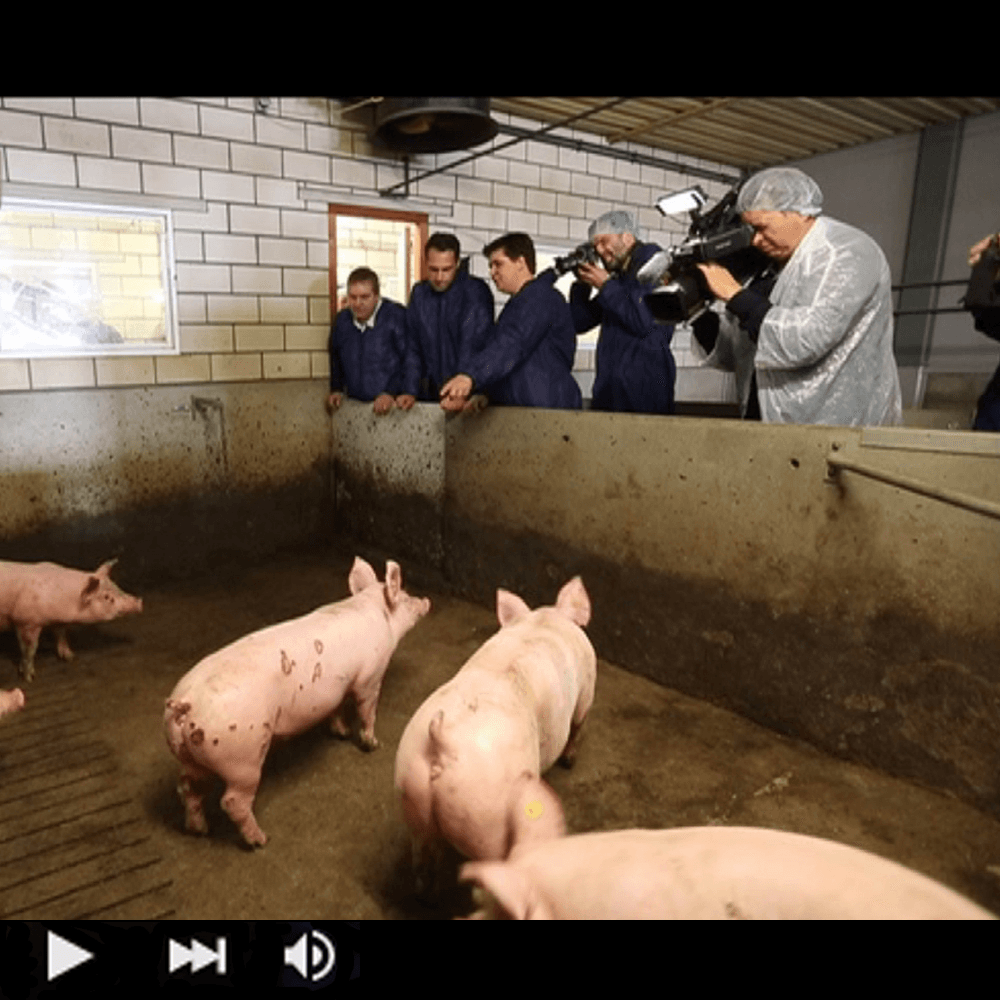 Staatssecretaris Van Dam de boer op