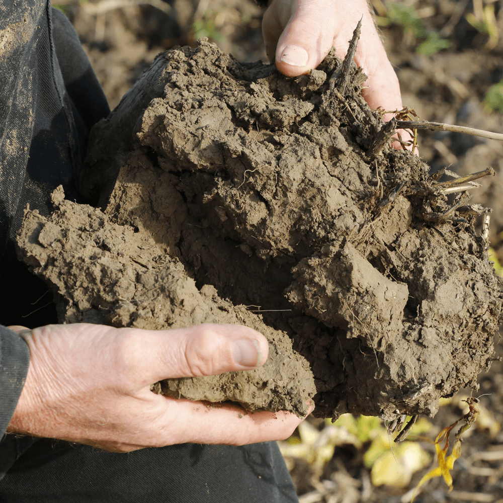 ‘30 centimeter diep woelen is genoeg’