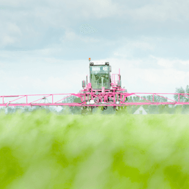 Ontwikkeling groene gewasbescherming begint nu pas
