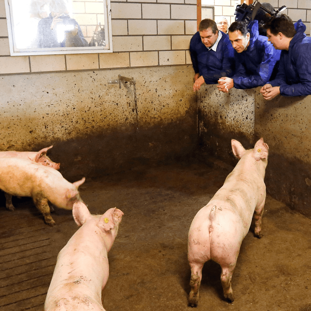 Staatssecretaris Van Dam gaat de stal in