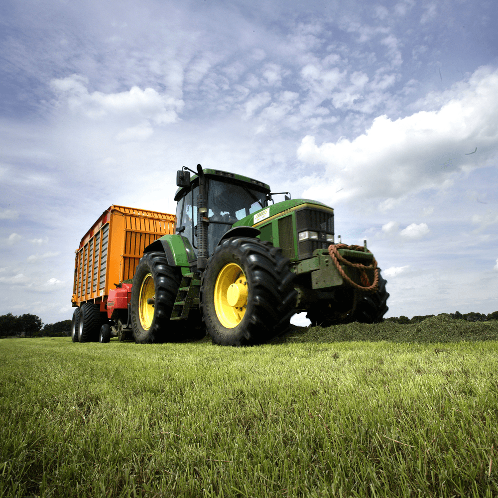 1.500 hectare voor grasteelt in Veenkoloniën gezocht