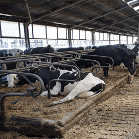 Vlaamse landbouw somber gestemd