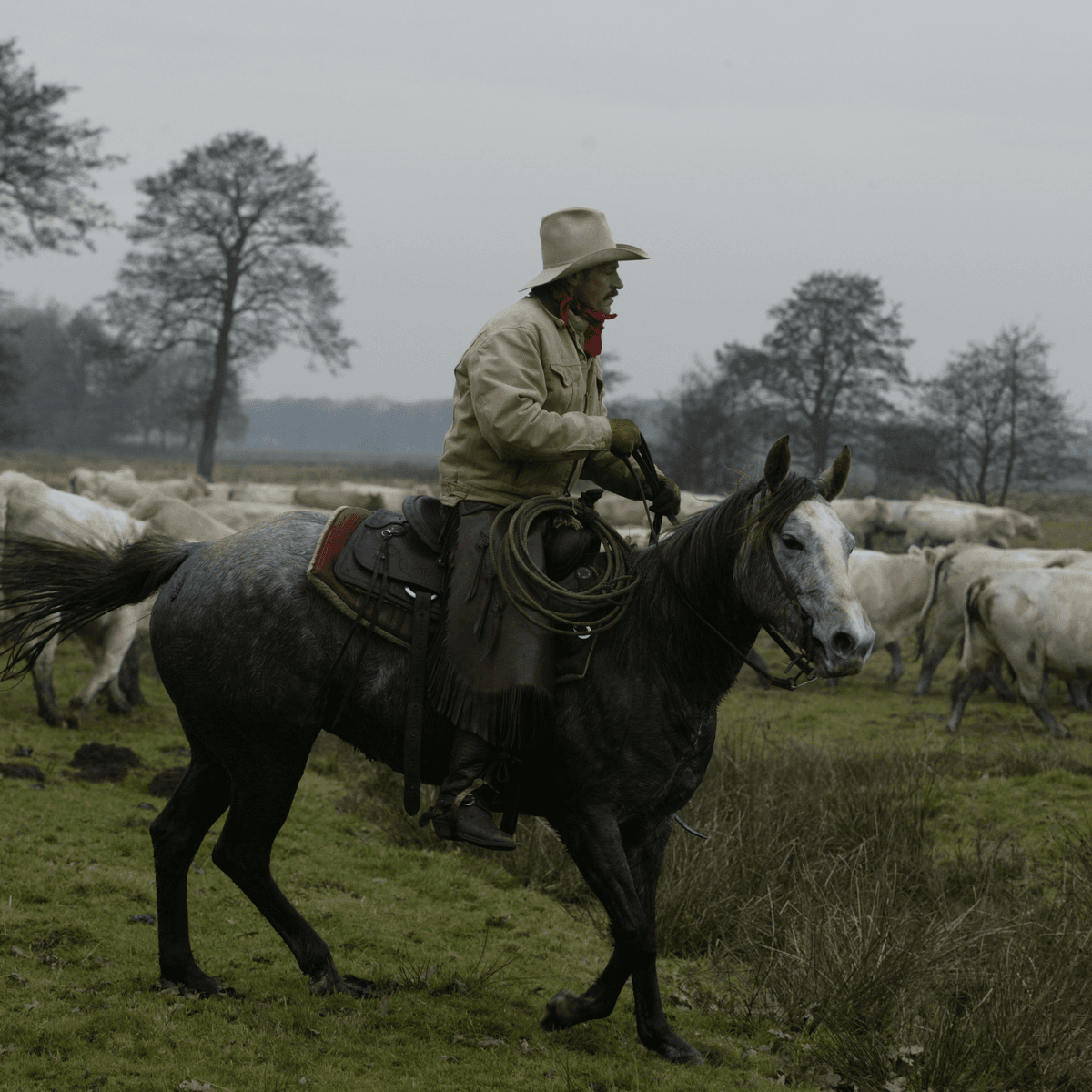 Texaanse ranch van $750 miljoen te koop