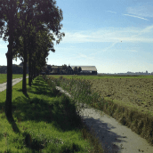 De huidige eigenaar molk tot 2010 in een 2x5-melkstal. Toen maakte hij er een 2x8 van. Een klein nadeel is de vrij smalle melkput.