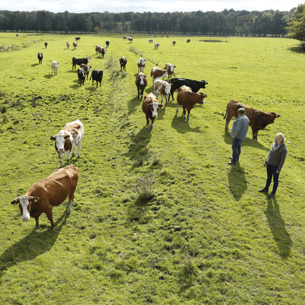Ruimte voor groei biologisch