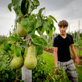 Tuinders hebben eigen regeling