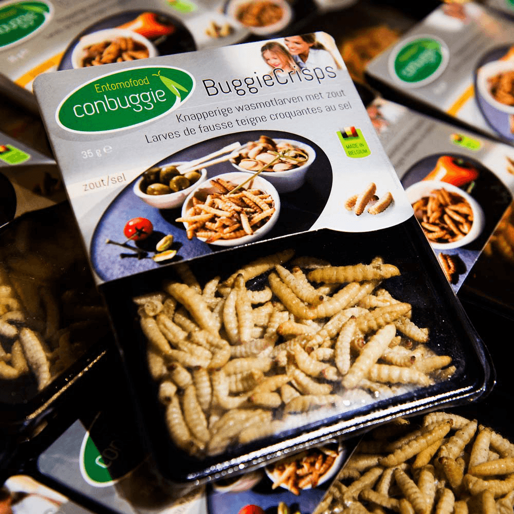 Toelatingsprocedure insecten eenvoudiger