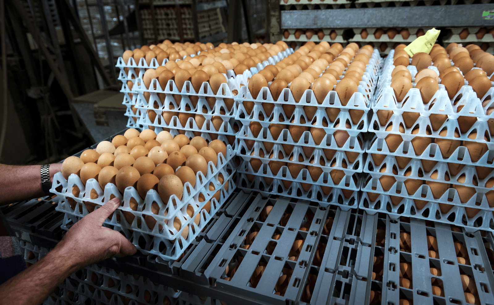 Eierpromotie: be good and sell it