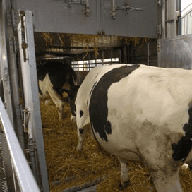 Actie tegen verre transporten