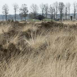 VVD en CDA bezorgd over uitbreiding Natura 2000
