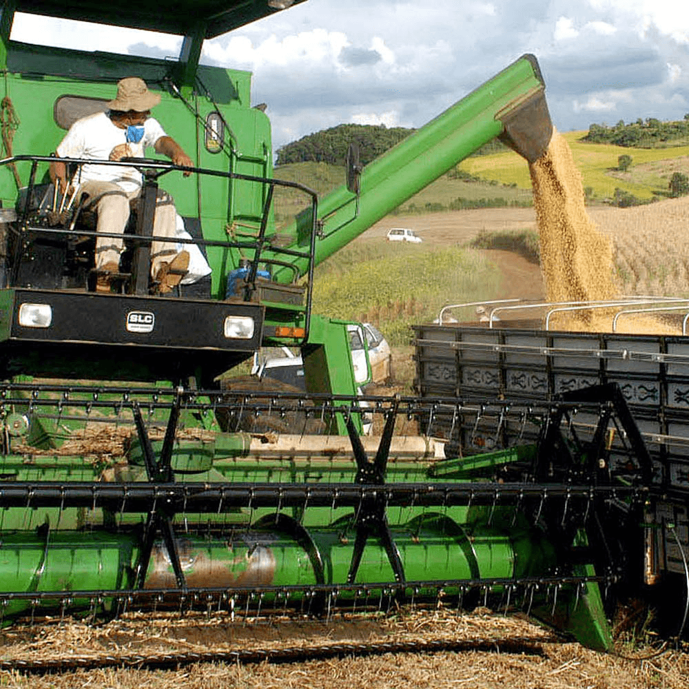 Zonder import GMO-soja hogere voerkosten