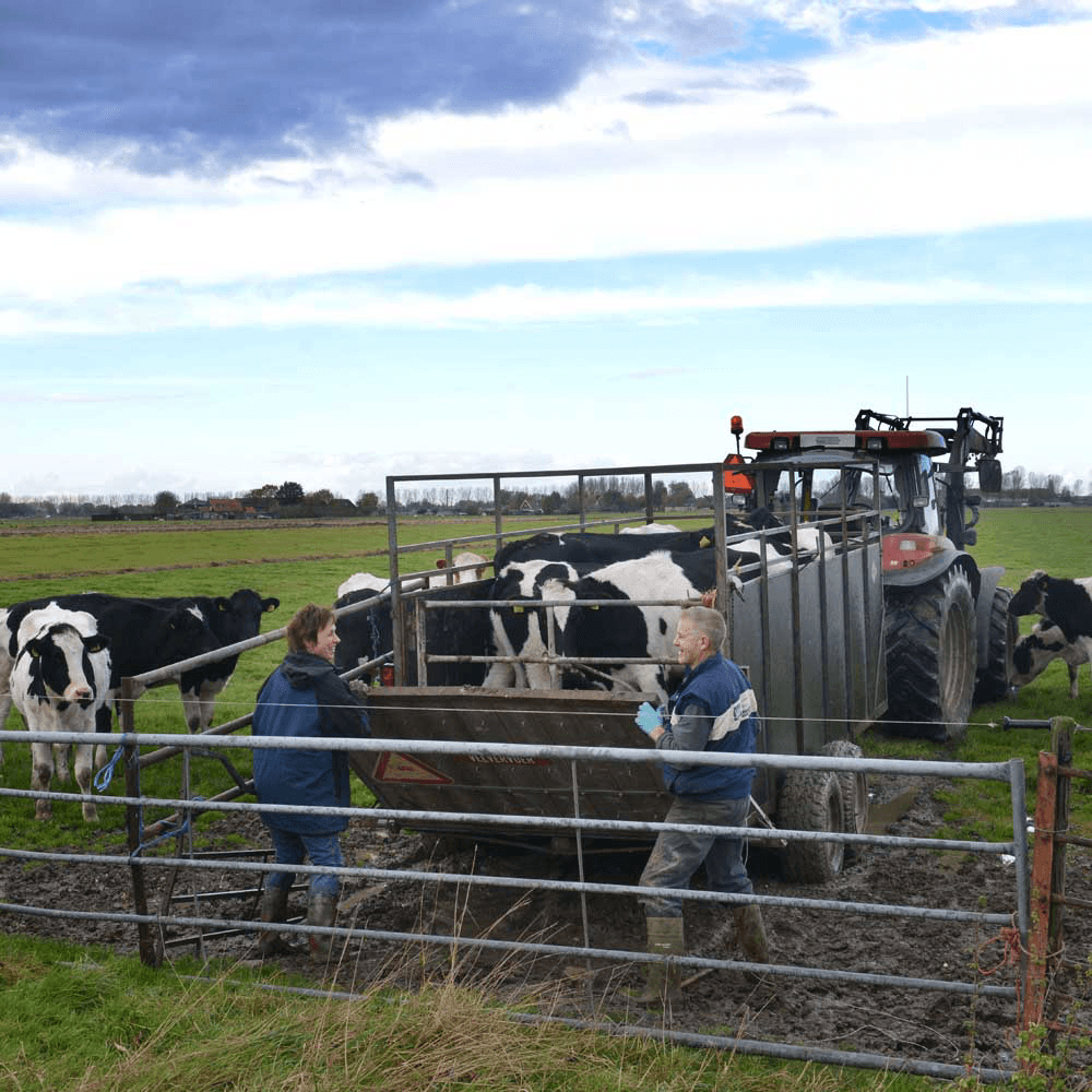 Boer trouwt met boerin