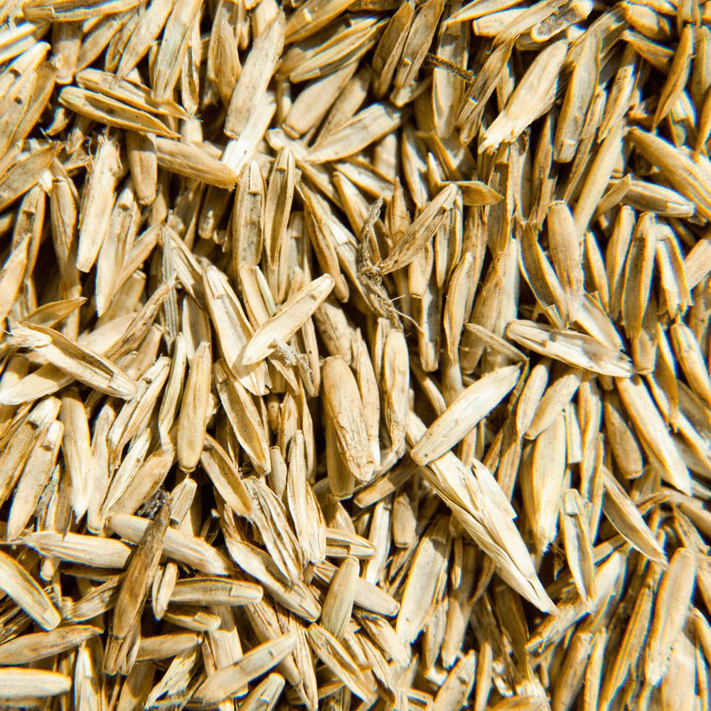 Breeders Trust ontdekt graszaadfraude