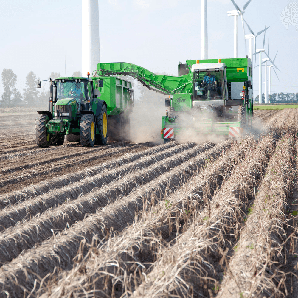 Meer klasseverlaging pootgoed in nacontrole