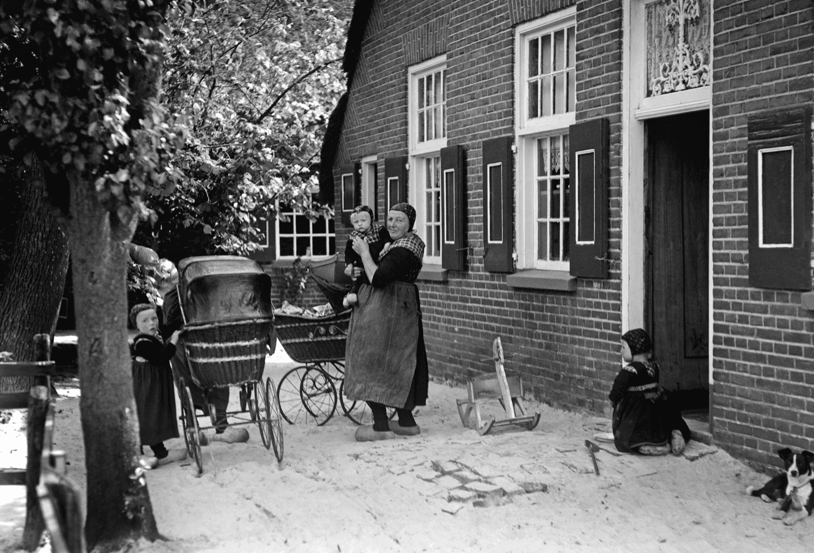 De boerin: Van boerendochter tot vakbondslid
