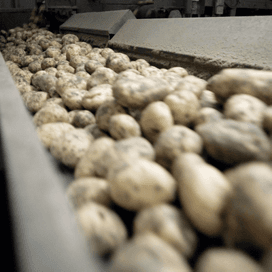 Duitsers kopen minder aardappelen ondanks lage prijs