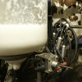 Nieuwe prijsverlaging Britse melk