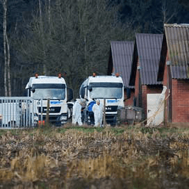 Zorgen over Duitse vogelgriep