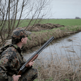 Ganzen: meer regels, minder jagen