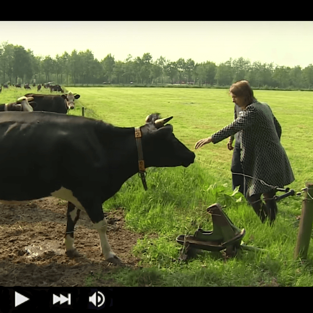 Film: Barsten in het ammoniakbastion