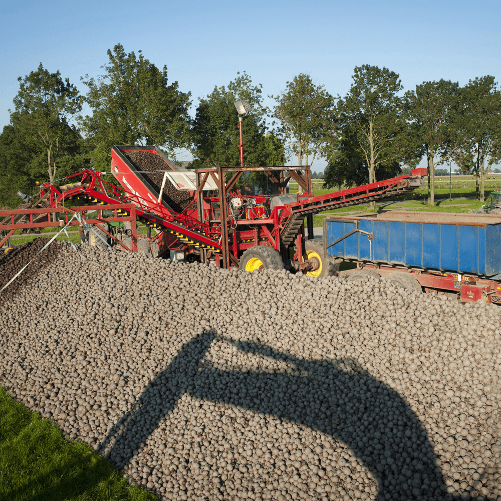 ‘De wereld is groot, ook voor een klein product’