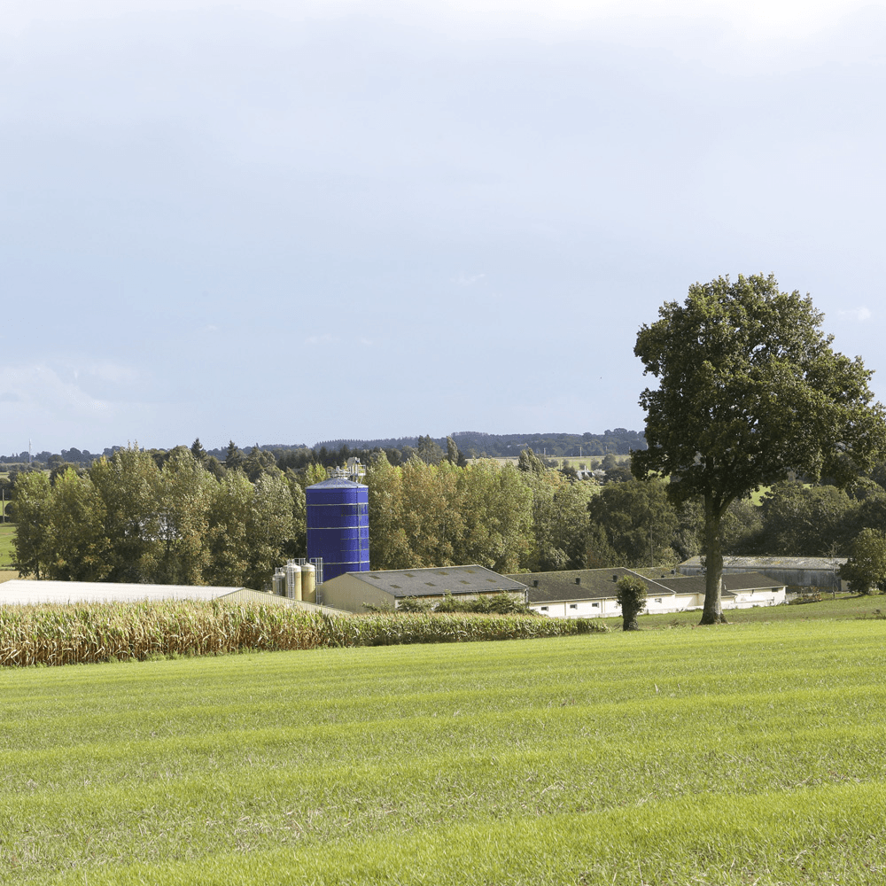 Franse varkenshouderij loopt achter