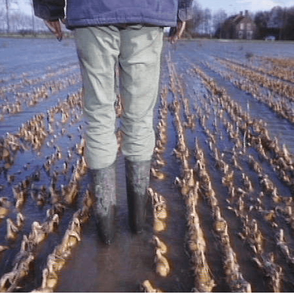 Nieuwe start na ernstige stormschade