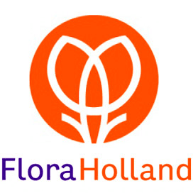 Strategie FloraHolland door leden goedgekeurd