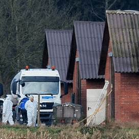 120.000 dieren geruimd om H5N8 Cloppenburg