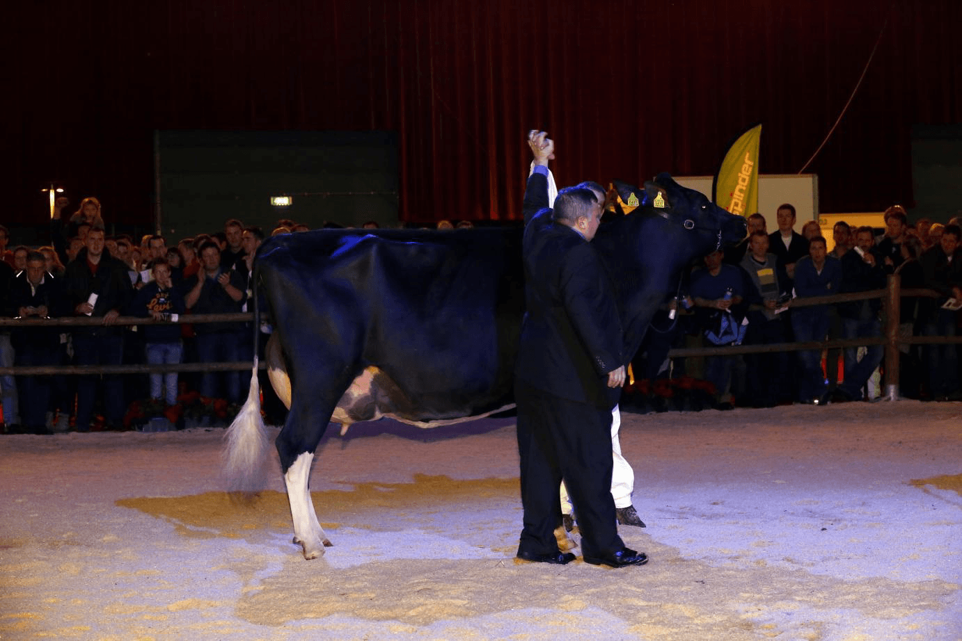 Fraaie kampioenen op HHH-show
