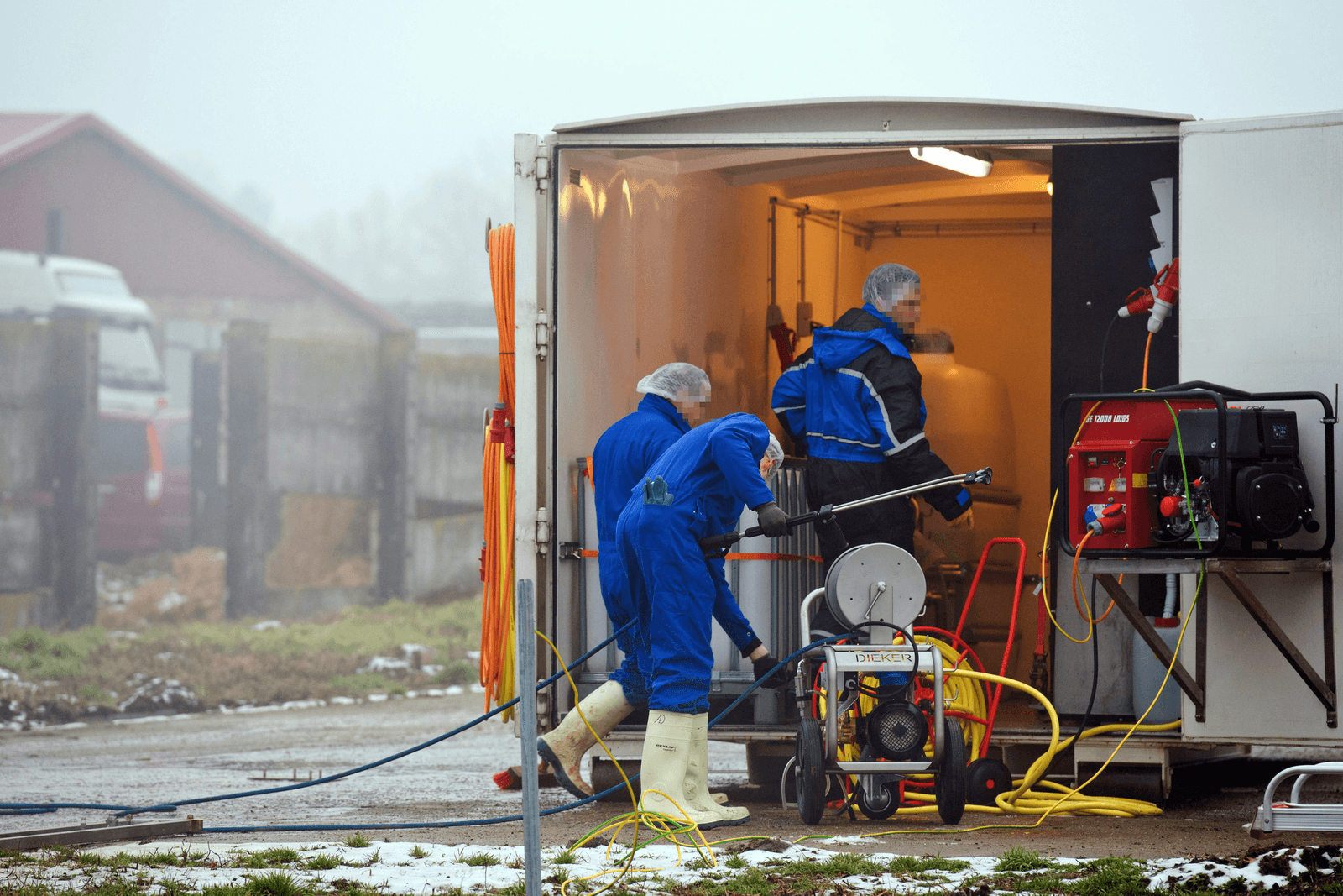 In Duitsland gebeuren de ruimingen bij vogelgriep snel en goedkoper dan in Nederland. Foto: ANP