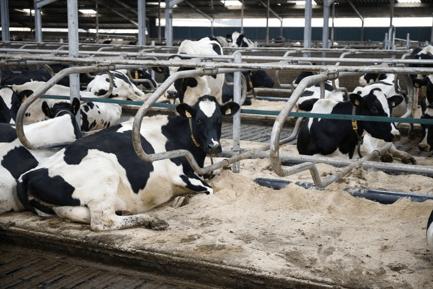 Met beleid de toekomst tegemoet