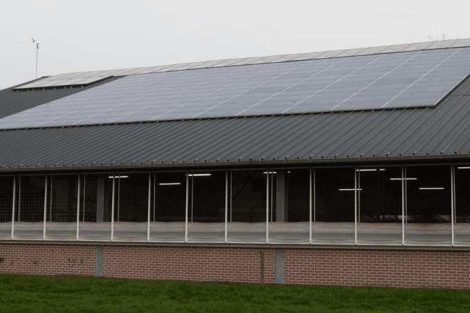 Fors hogere melkproductie, veel meer welzijn