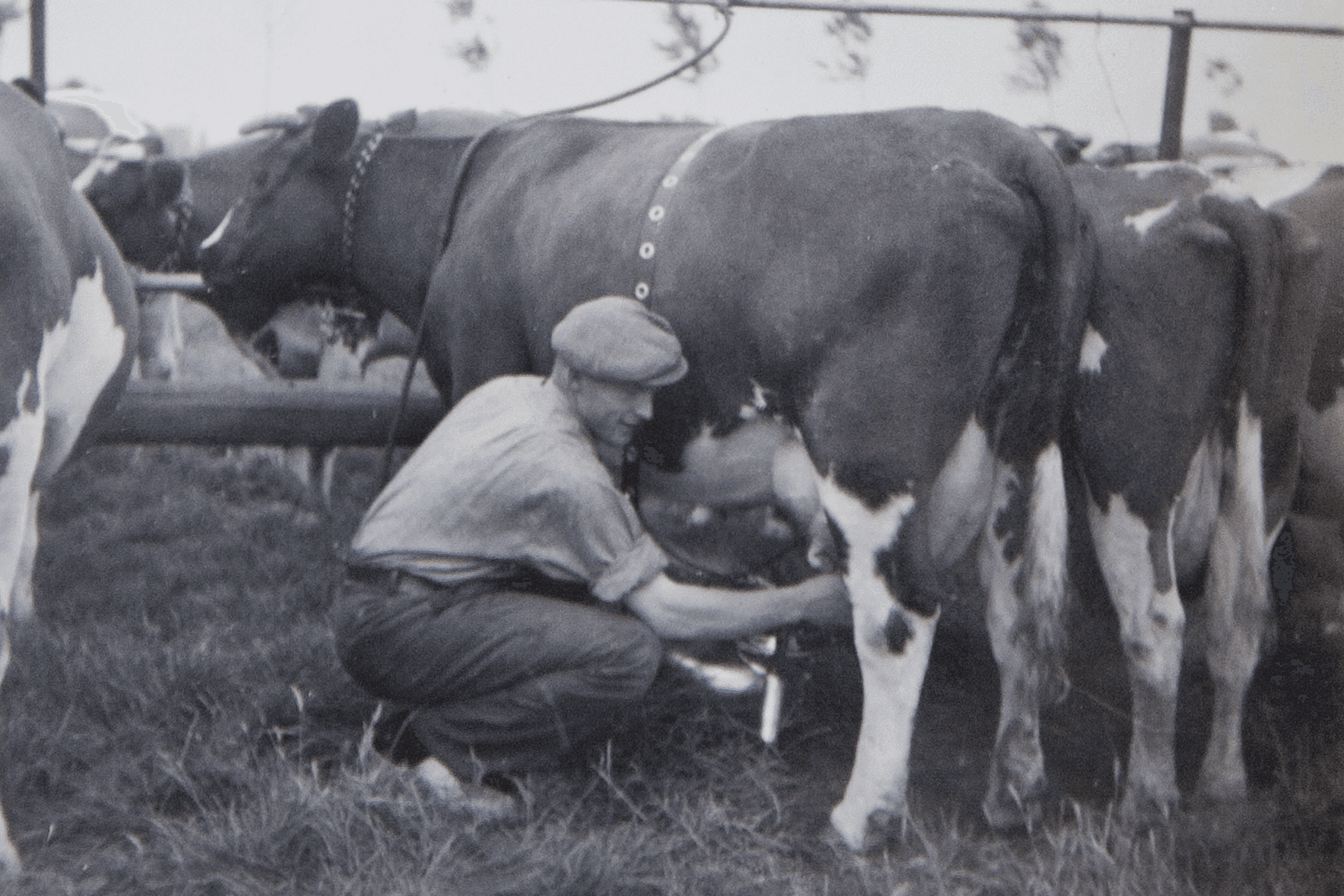 Drang naar vernieuwing en vooruitgang - Foto: Jan Willem Schouten