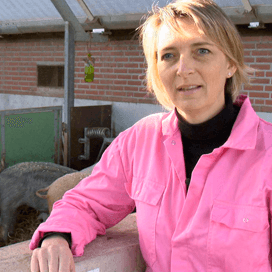 Appelgooier goed voor contact mens en dier