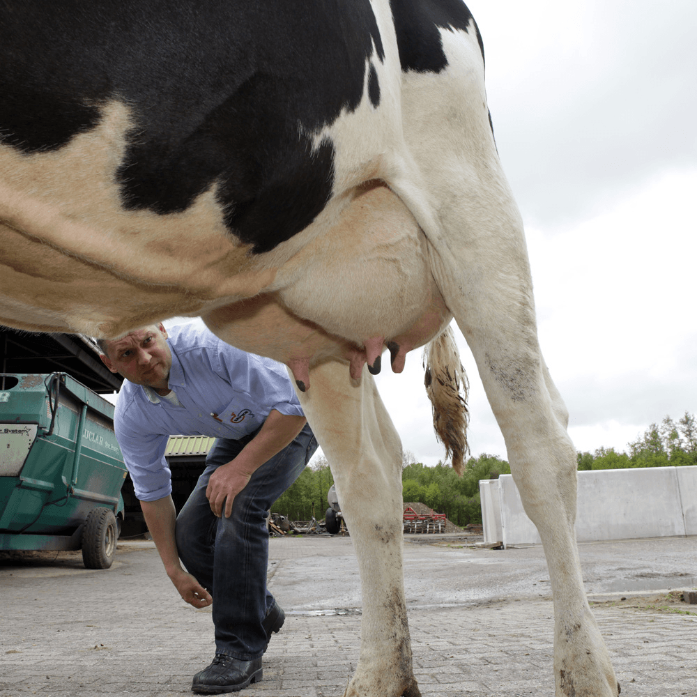 Verrassend bloed van KI Samen