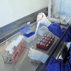 Schmallenbergvirus steekt kop weer op in Duitsland