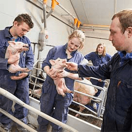 Dalende instroom groen MBO ten einde