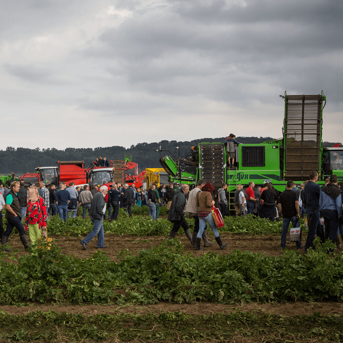 Potato Europe 2015