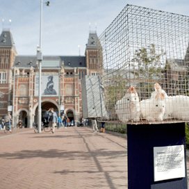 Konijnenkooien voor musea