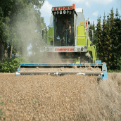 Olievlas weer terug in Twente