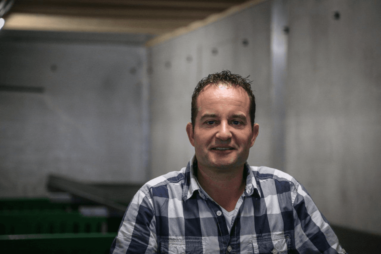 Varkens houden tussen Heineken-kratten